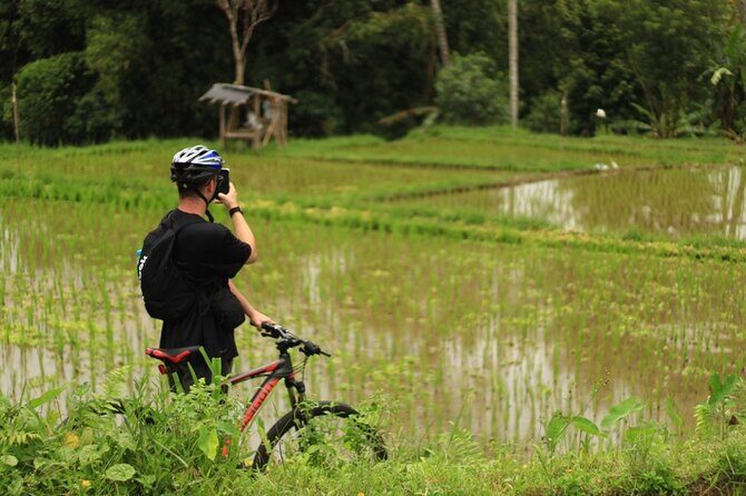 Downhill Cycling Ubud with Volcano, Rice Terrace and Educational - Price and value: why $25 can work here