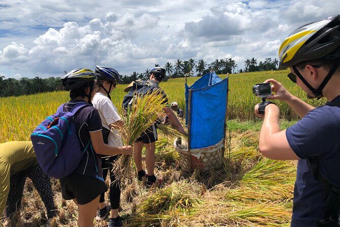 Downhill Cycling Ubud with Volcano, Rice Terrace and Educational - Who this downhill cycling tour suits best (and who should think twice)