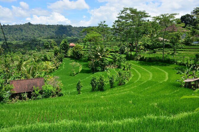 East Bali Tour: Gate of Heaven, Water Palace, Sleeping Gajah - The dam-and-waterfall panorama stop: a calmer photo break