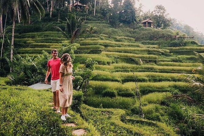 East of Bali Tour with Lempuyang Temple, Waterfall, Tirta gangga - Tirta Gangga Park: Koi, Reflections, and a Different Kind of Bali Beauty