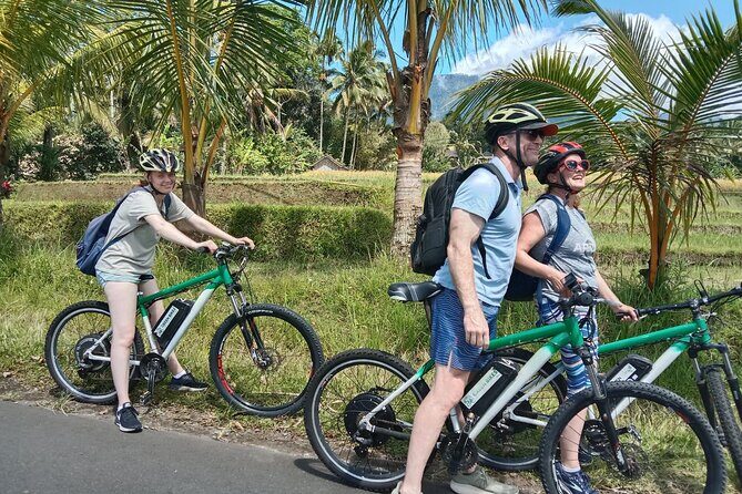 Electric bicycle tour in Jatiluwih UNESCO site - Key highlights at a glance