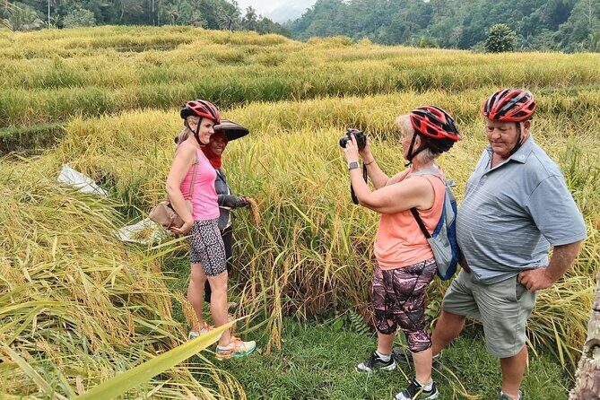 Electric bicycle tour in Jatiluwih UNESCO site - Why Jatiluwih by e-bike beats the usual Bali day
