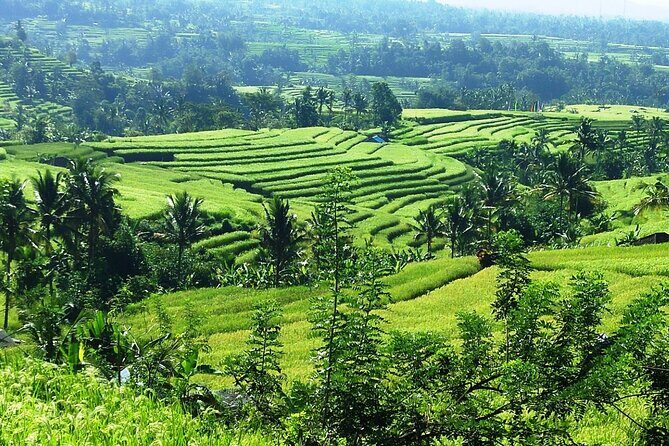 Electric bicycle tour in Jatiluwih UNESCO site - Lunch in the countryside: included nasi campur, properly local