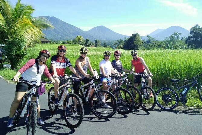 Electric bicycle tour in Jatiluwih UNESCO site - E-bike setup and riding comfort: what you should expect