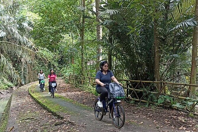 Electric bicycle tour in quaint South Ubud - Key things to know before you go