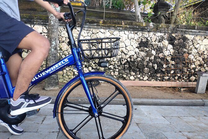 Electric bicycle tour in quaint South Ubud - UNESCO rice terraces and Subak: what you should watch for