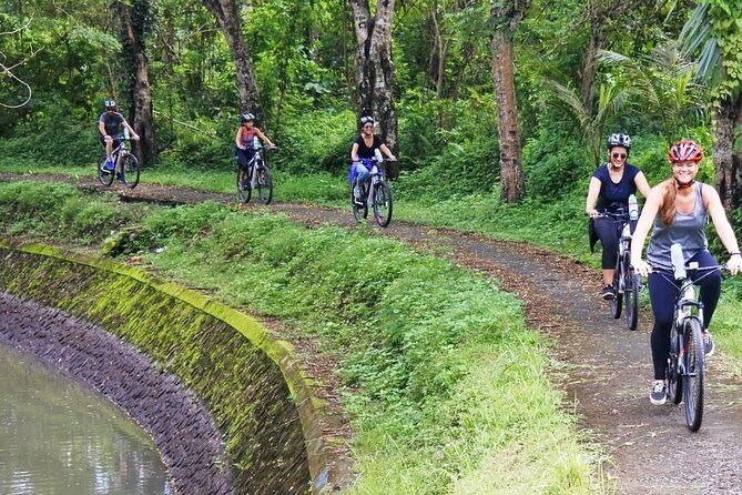 Electric bicycle tour in quaint South Ubud - The ride starts in Mambal: rice, farmer roads, and river views