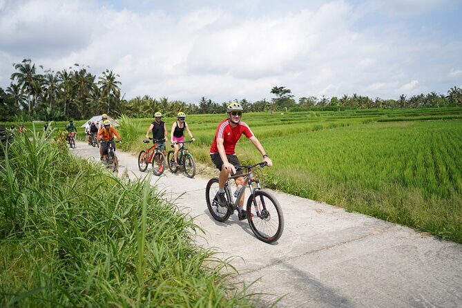 Electric Bike and Swing Package - Key Highlights at a Glance