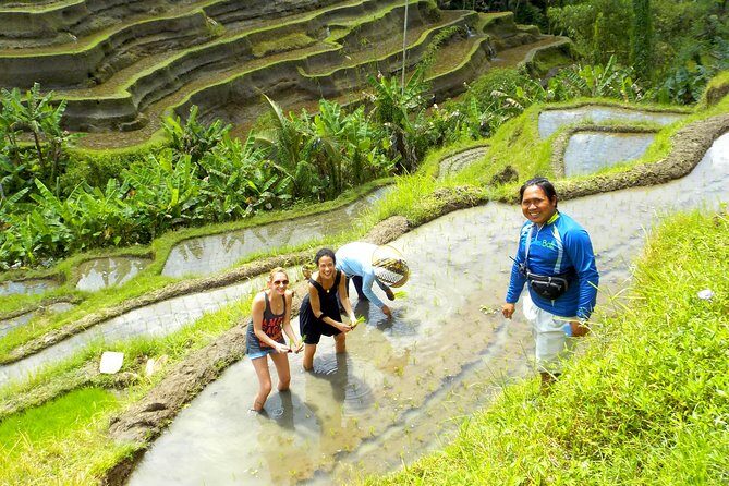 Electric Cycling Tour of Ubud with Free Hotel Transfer and Lunch - How the ride feels: control, traffic, and staying together