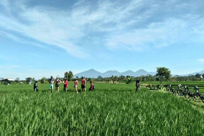 Electric Cycling Tour of Ubud with Free Hotel Transfer and Lunch - Ubud Jungle Swing: views, coffee options, and a decision point