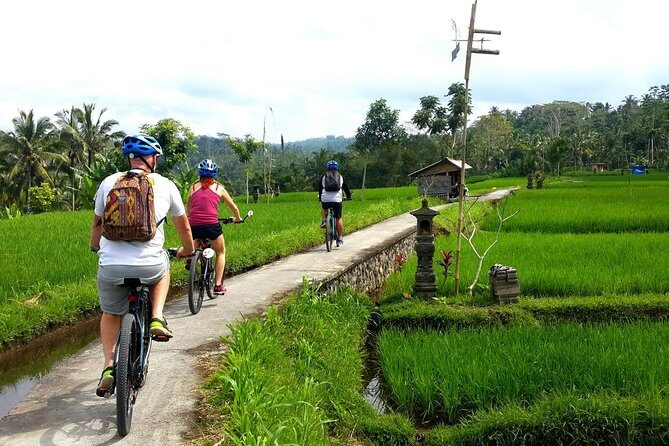 Electric Cycling Tour of Ubud with Free Hotel Transfer and Lunch - Price and value: why $41 can make sense here