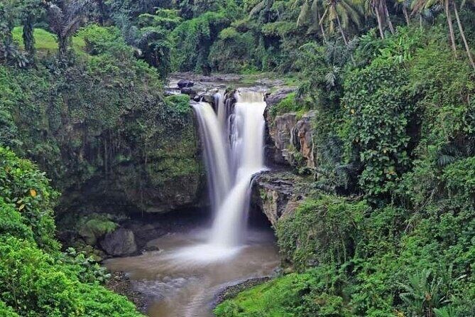 Exclusive Ubud Experience: Nature, Culture & Adventure in One Day - Price and what you actually get for $70