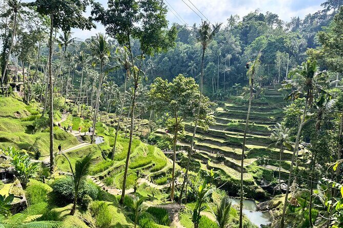Exclusive Ubud Experience: Nature, Culture & Adventure in One Day - Tegallalang rice terraces and the jungle swing: why Ubud looks like this