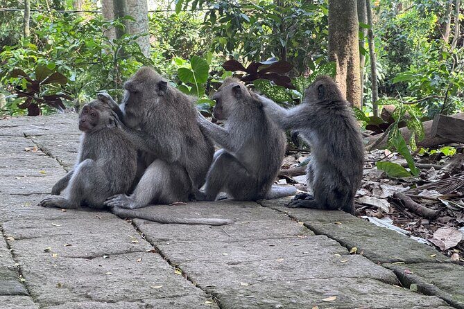 Exclusive Ubud Experience: Nature, Culture & Adventure in One Day - Warung Dewa Malen lunch: fuel that keeps you human
