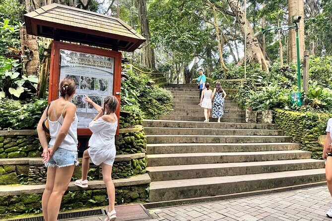 Exclusive Ubud Experience: Nature, Culture & Adventure in One Day - Sacred Monkey Forest Sanctuary: seeing monkeys up close without the chaos