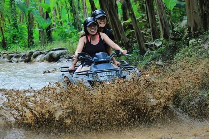 Experience Private Bali Northern Trip at North Waterfall - Driver and language: the one thing to confirm ahead of time