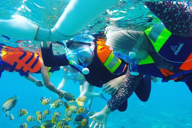 Explore 4 iconic snorkeling spots of Manta Bay in Nusa Penida - Price and what’s included for $27