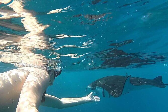 Explore 4 iconic snorkeling spots of Manta Bay in Nusa Penida - Stop 1: Colorful small-fish snorkeling for an easy start