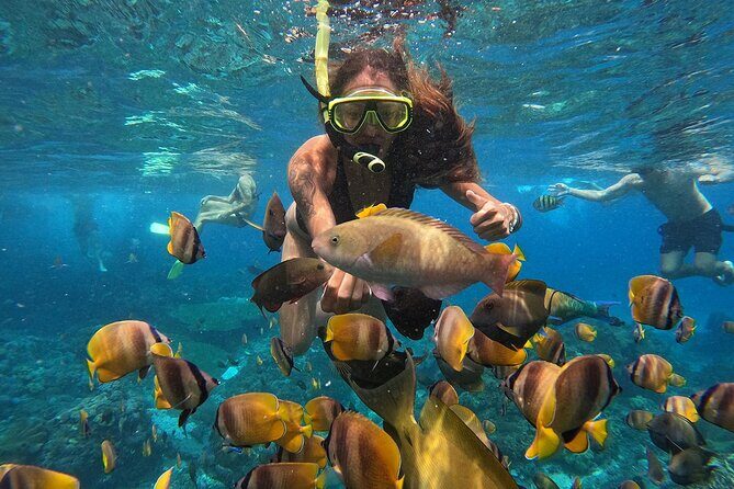 Explore 4 iconic snorkeling spots of Manta Bay in Nusa Penida - Stop 2: Flying fish moments and quick photo chances