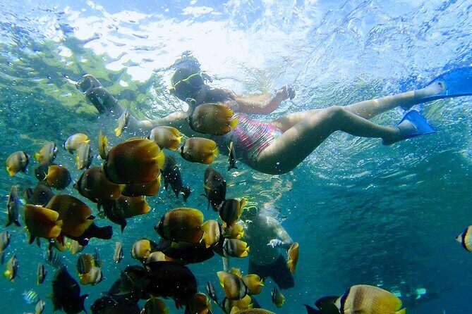 Explore 4 iconic snorkeling spots of Manta Bay in Nusa Penida - GoPro photos and video: making sure you get the most