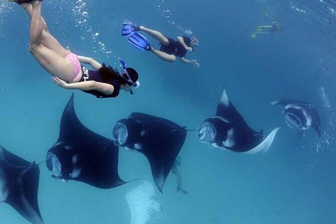 Explore 4 iconic snorkeling spots of Manta Bay in Nusa Penida - Getting to Manta Bay: meeting points and how the day runs
