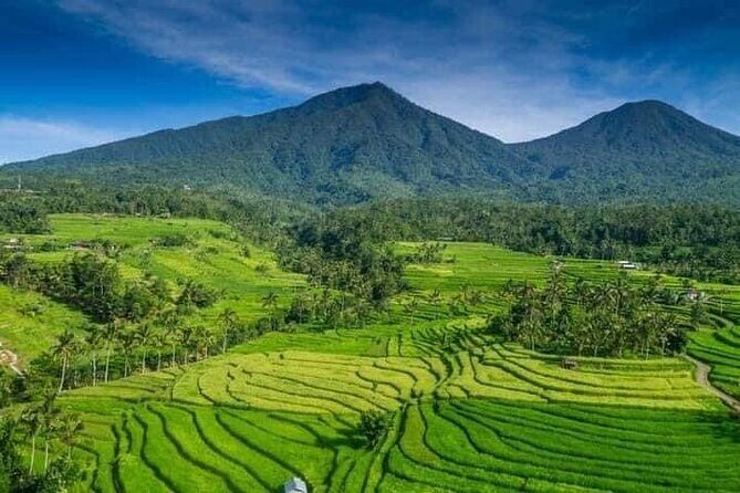 Explore Munduk Customized 8 Hour Day Tour in North Bali - Choosing Your Route: Munduk, Lakes, and Waterfalls vs. Temples and Rice Terraces