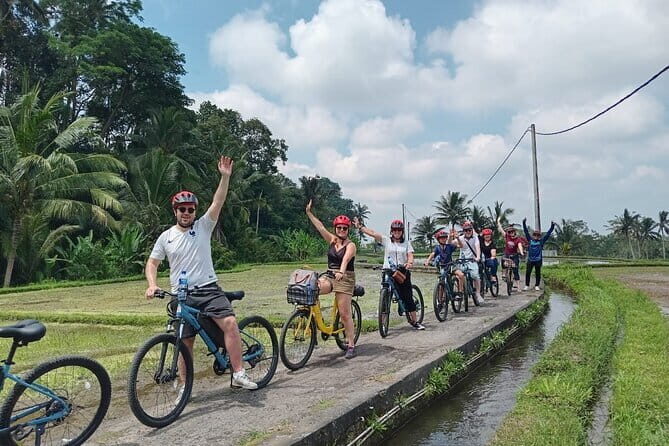 Explore Rice Fields and Hidden Villages with Ubud E-Bike Tour - Key highlights I’d plan around