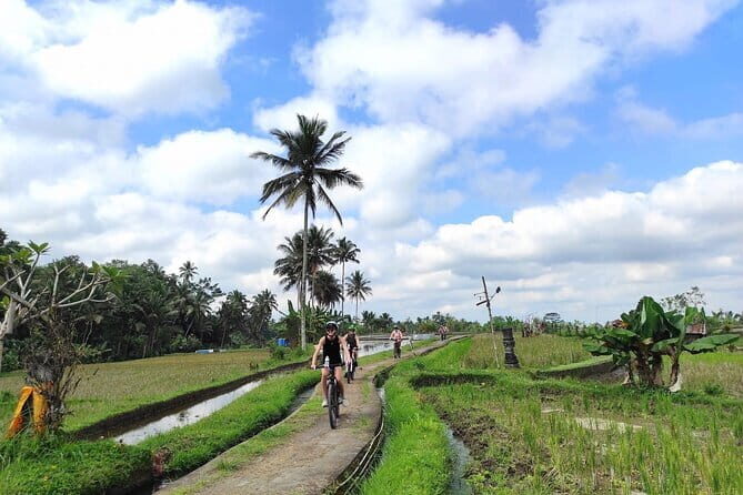 Explore Rice Fields and Hidden Villages with Ubud E-Bike Tour - The included stuff that actually makes a difference