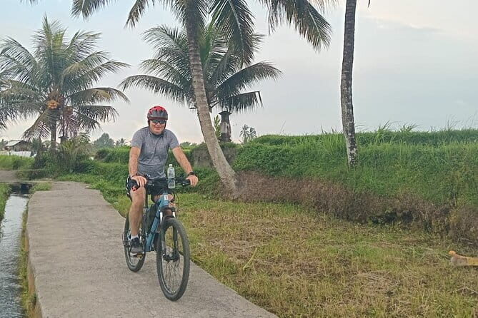 Explore Rice Fields and Hidden Villages with Ubud E-Bike Tour - Route flow: how the timing feels across 4.5 hours