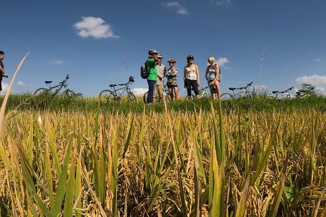 Explore Ubud with Electric Bike - Morning logistics: starting at 7:30 with a smooth setup