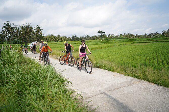 Explore Ubud with Electric Bike - Stop 3: Tegallalang Balinese house visit for everyday culture