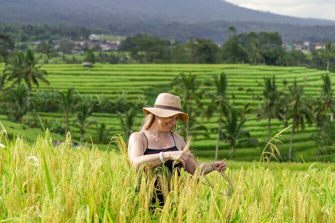 Exquisite UNESCO World Heritage Sites in Bali - Who this tour suits best in Bali