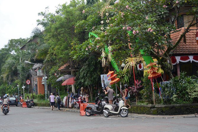 Famous Ubud villlage and Dance Tour with Rice Terrace And Waterfall Visit - Tegalalang rice terrace: photos, shade, and real scenery