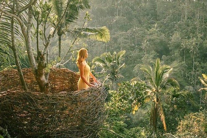 Fantastic Ubud Tour with Jungle Swing - The Driver-Guide Factor: Where the Day Gets Smarter