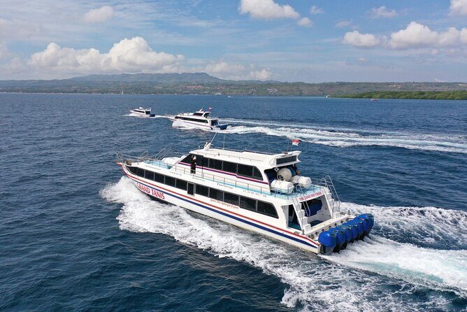 Fast Boat Transfer: Sanur to Nusa Lembongan Island by Penidago - Sanur to Nusa Lembongan in about 40 minutes