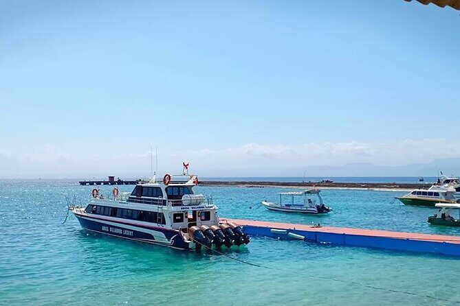 Fast Boat Transfer: Sanur to Nusa Penida by Penidago - Choosing Your Departure Time: The Schedule Looks Simple, Reality Isn’t