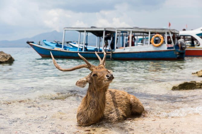 Fastboat to Gili Trawangan or Gili Air - The Fastboat Crossing: Quick to Board, Quick to Feel