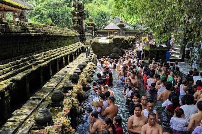 Favorite Sites of Ubud Daytrip - Price and Value for a Ubud Daytrip at $32
