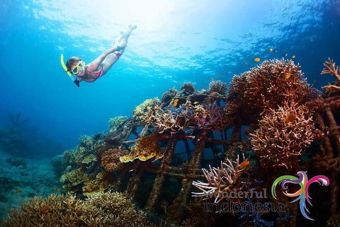 Fly Board Experience in Bali - Optional Upgrades: Jet Ski, Parasailing, or Seawalker Helmet Diving