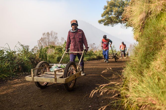 From Bali : Bromo & Kawah Ijen – 3-Day Adventure - Day 2 after sunrise: Sea of Sand time and real recovery
