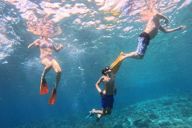 From Bali: Nusa Penida Full Day Tour and Snorkeling - Key highlights to look for