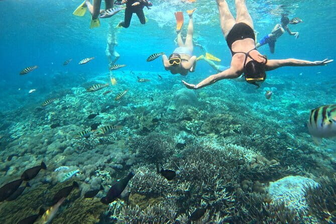 From Bali: Nusa Penida Full Day Tour and Snorkeling - Broken Beach and Angel’s Billabong: Circular Rock Drama and Ocean Views