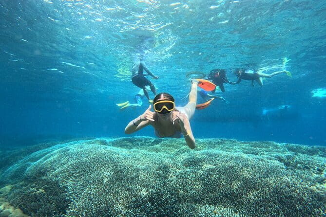 From Bali: Nusa Penida Full Day Tour and Snorkeling - On the Island: A Private Car Setup That Keeps You Moving