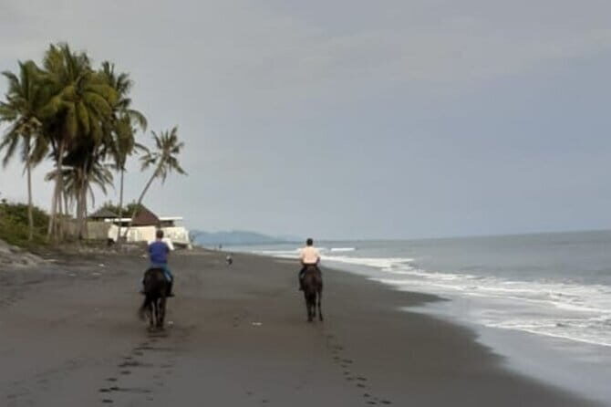 From Ubud 1 Hour Horse Riding at The Beach Experiences - Key highlights you’ll actually care about