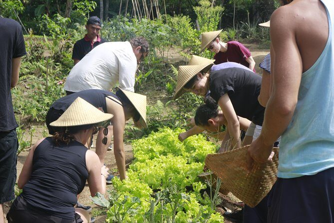 From Ubud: Authentic Bali Farm Cooking School & Organic Farm - Who This Class Is Perfect For (and Who Might Skip)