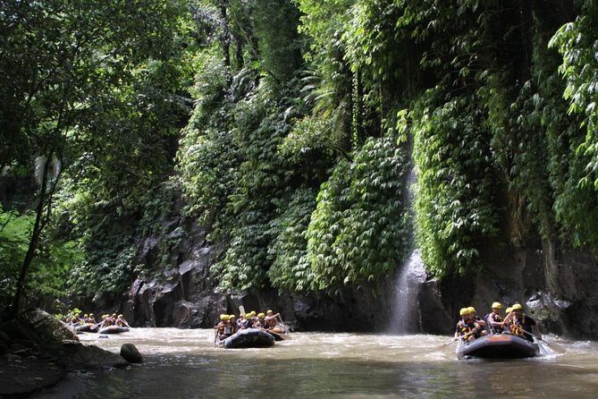 Full-Day Ayung River White Water Rafting and Ubud Tour - Price and value: is $45 a fair deal?