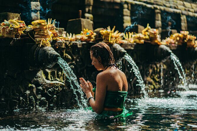Full Day Best of Ubud Private Tour - Key highlights worth your attention