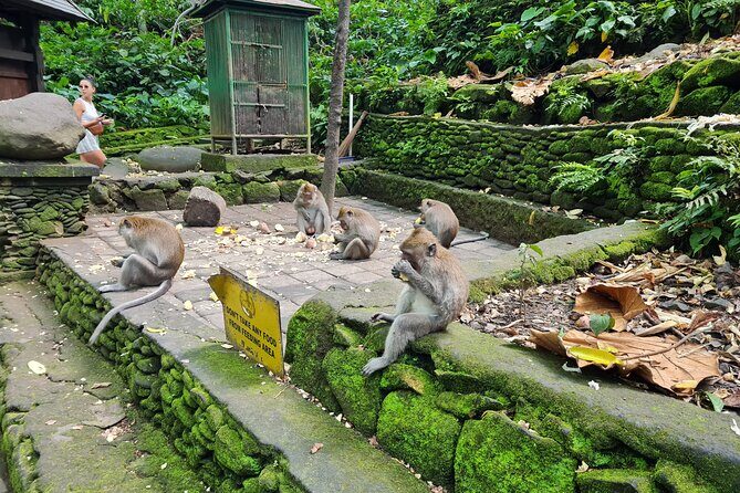 Full Day Best of Ubud Private Tour - Celuk Art Village and silverwork: slow down for the details