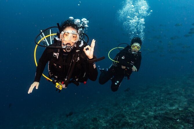Full-Day Discover Scuba Diving Tour for Beginners in Tulamben - Getting From Your Bali Hotel to Tulamben (Without Headaches)