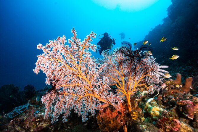 Full-Day Discover Scuba Diving Tour for Beginners in Tulamben - Timing, Food, and the Built-In Break You’ll Appreciate